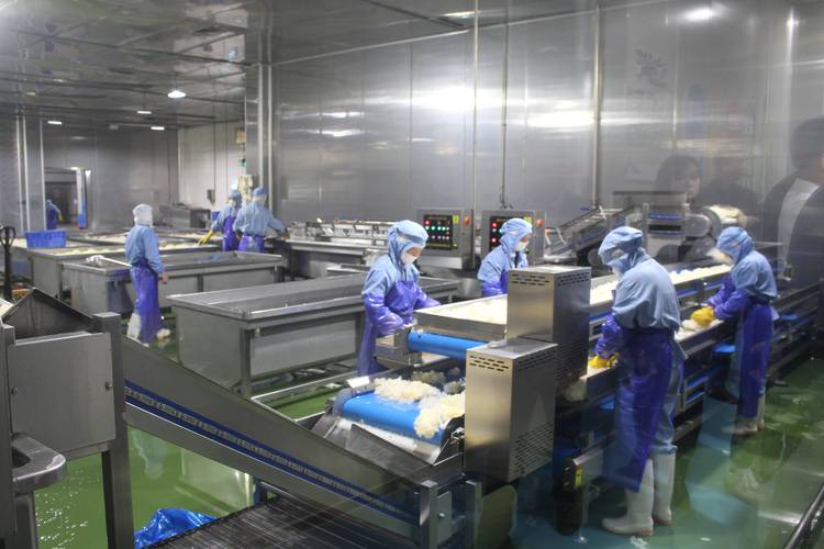 中國康養 立興凍干技術賦能銀發經濟再創新食尚